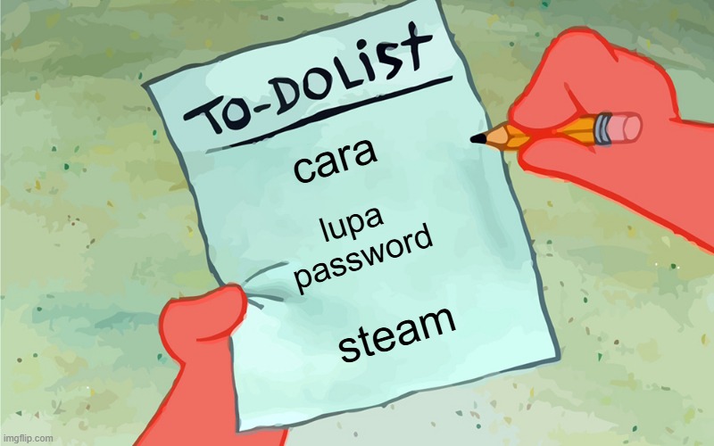 lupa password steam
